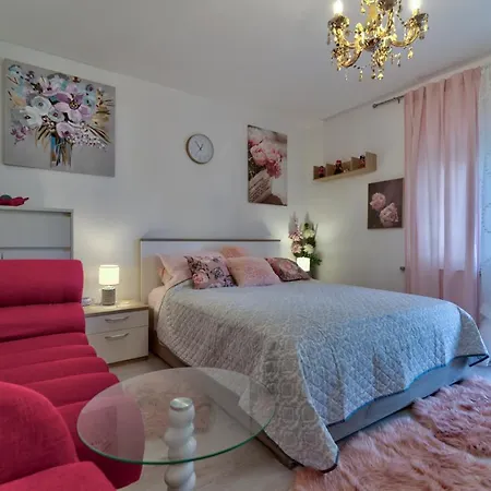 Sl Sun 6 App 2 * 塞尔瑟